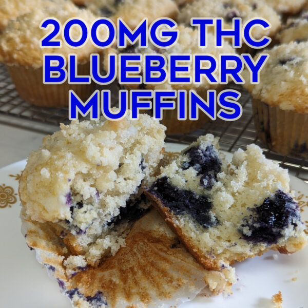 200mg Blueberry Muffins