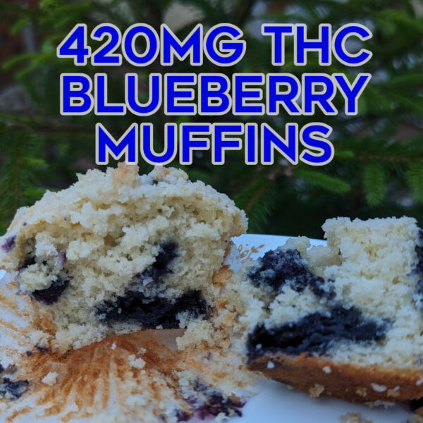 420mg Blueberry Muffins