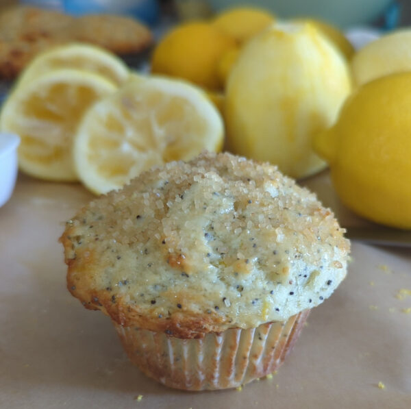 Lemon Poppy seed Muffin