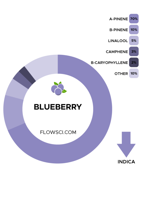 Blueberry Terpenes