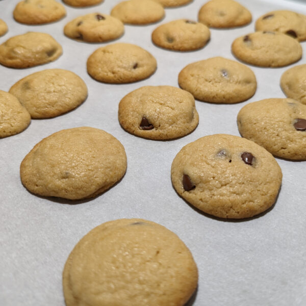 Chocolate Chip Cookies - Fresh out of the oven