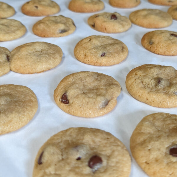 Chocolate Chip Cookies - Ready to go