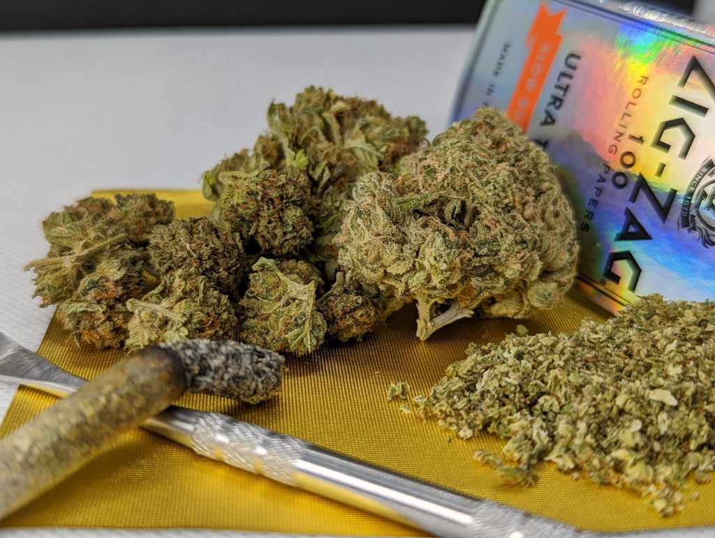 Buy Gorilla Glue Strain Indica Hybrid Bud • Fraser Bud