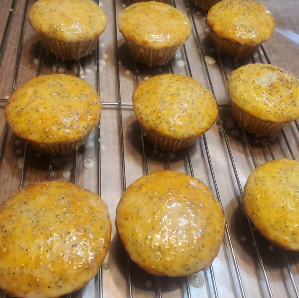 High Dose 200mg THC Lemon Poppy Seed Medicated Muffin