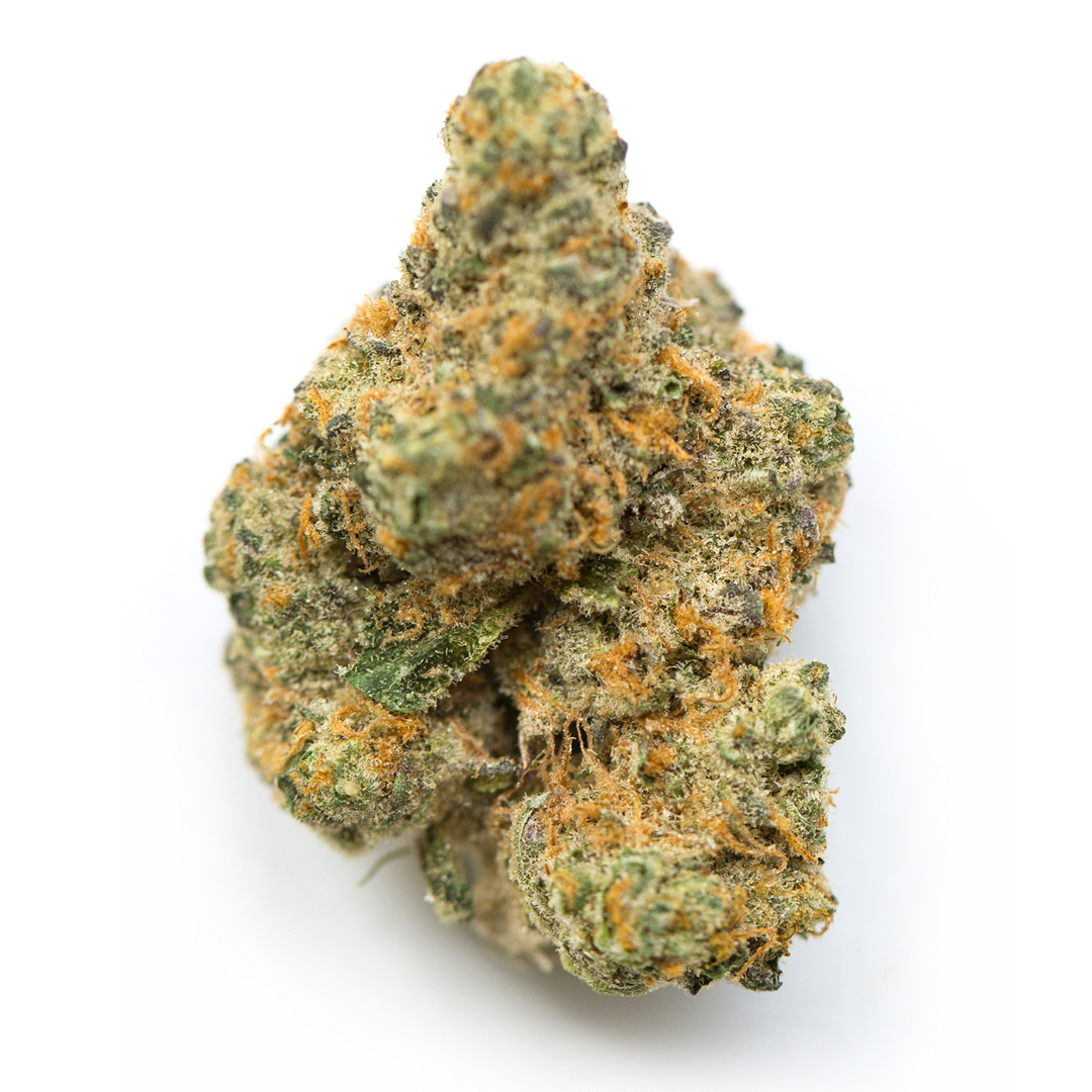 White Gorilla Strain - Indica Hybrid Bud - Galaxy MJ